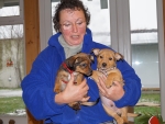 Steffi und die Welpis