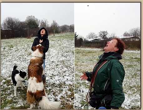 Claudi und Steffi schnappen Leckerchen aus der Luft