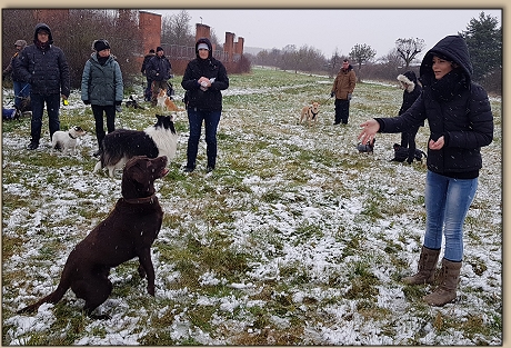 Djego fngt Leckerlies