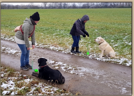 Waltraud und Vivien rollen ein Spieli ab