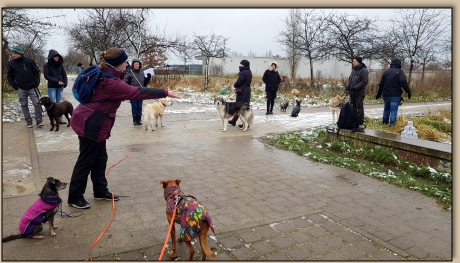 Lisa wirft den Ball zur Pyramide
