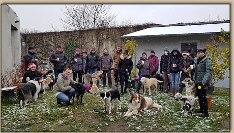 die Hunde und ihre Zweibeiner