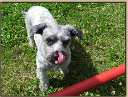 Ideale Bedingungen zum Lernen ... 