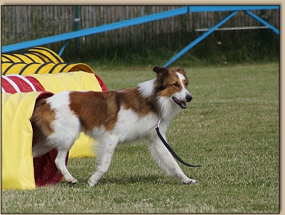 Arno kommt aus dem Tunnel