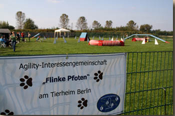 Ideale Bedingungen zum Lernen ...