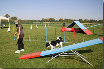 Ein Schwerpunkt: Kontaktzonentraining