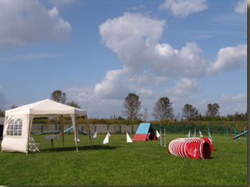 Ideale Bedingungen zum Lernen ... 