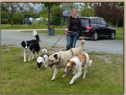 Jessica mit Hunderudel