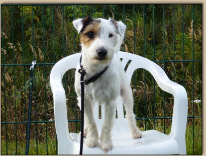 Cornelia, Corinna, Peggy und Thomas