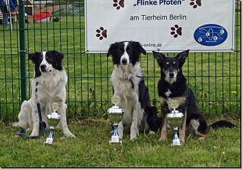 Die 3 Besten - Berry, Ronny, Connie