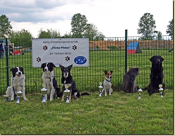 Unsere 6 Pokalgewinner