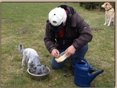 Wolfgang spickt die Wasserschüssel mit Leckerchen