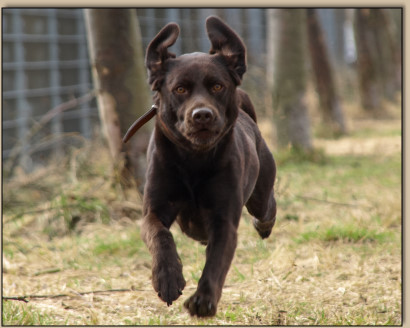 Djego im vollen Speed