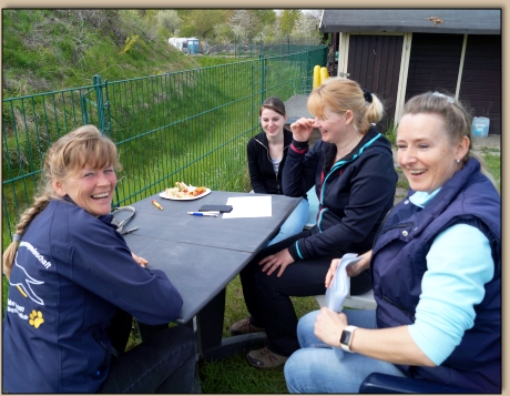 Auswertung des Turniers