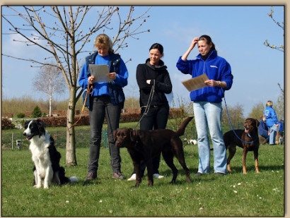 Rica, Claudi & Claudi