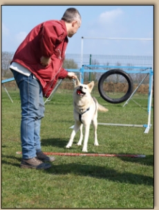 Zielwurf und apportieren