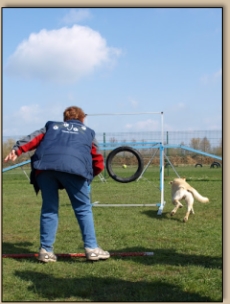 Zielwurf und apportieren