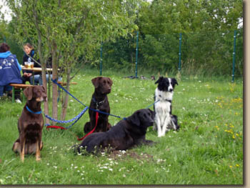 Sehr aufmerksame Zuschauer