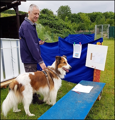 Versteckspiel - Arno