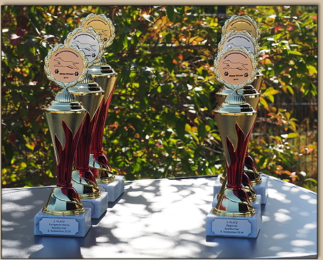 die Pokale