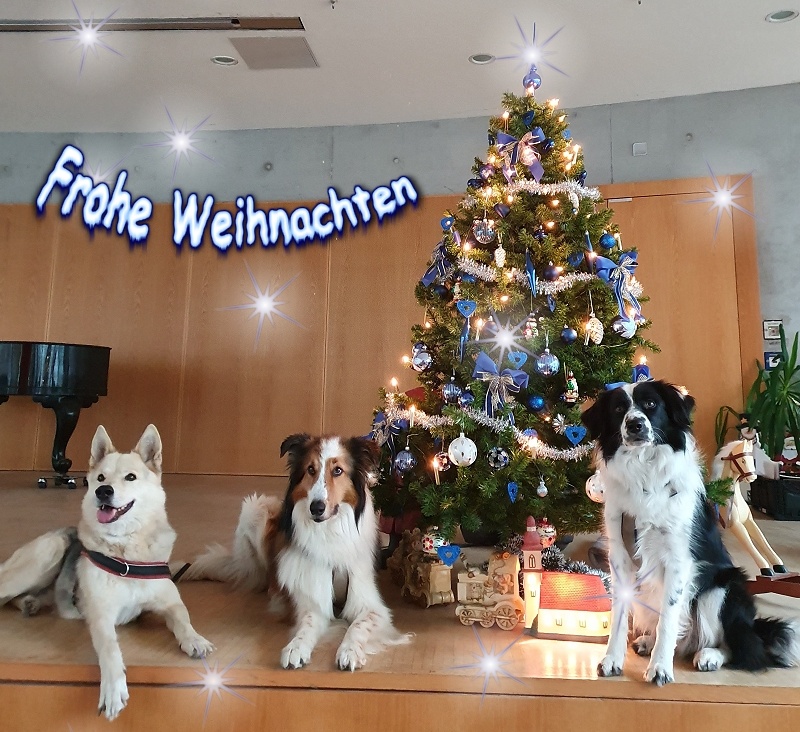 Frohe Weihnachten