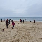 Invasion der Flinken Pfoten