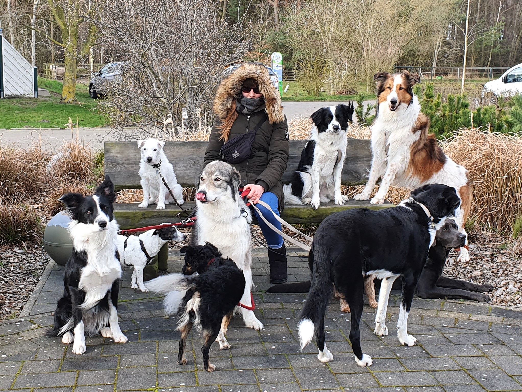Laura und die Pelznasen